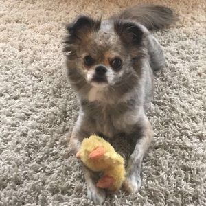 Meet your Posher, Liz